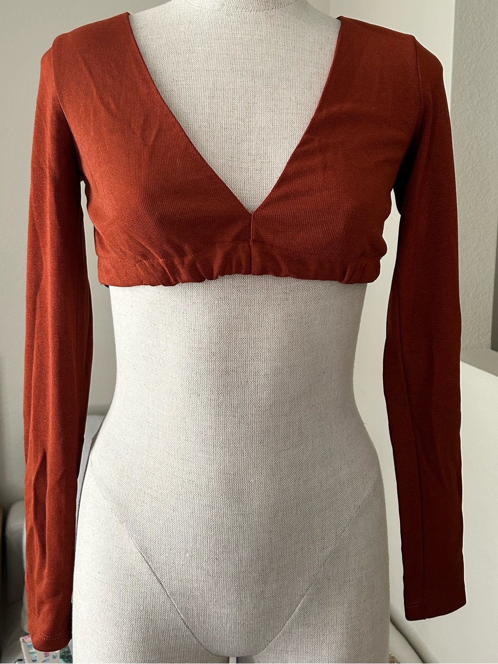Princess Polly Rust Long Sleeve V-Neck Cropped Top